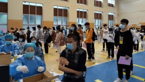 漆树车祸爆料最新消息,事故原因调查及伤亡情况披露  第2张