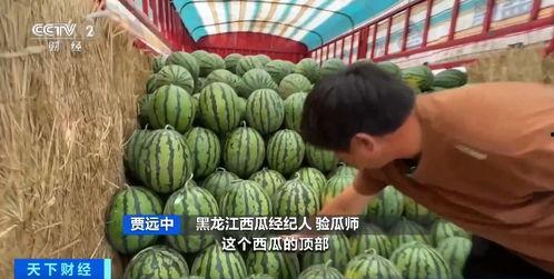 吃瓜香的网红有哪些  第2张